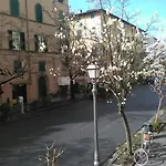 Sofia Daire Lucca