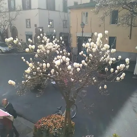 Lägenhet Sofia Lucca