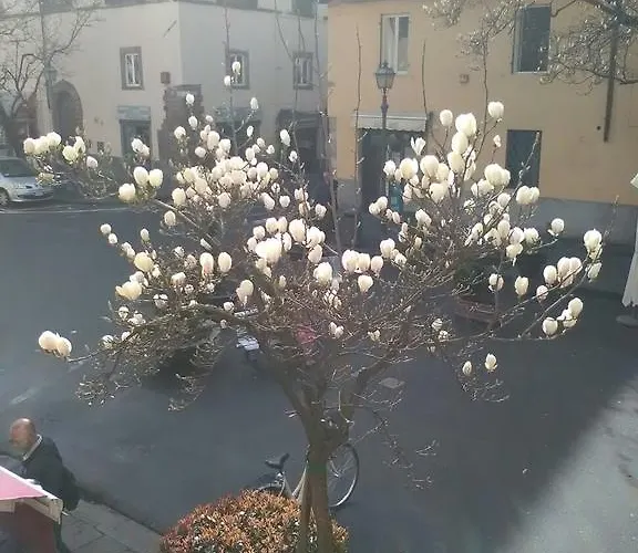 アパート Sofia ルッカ